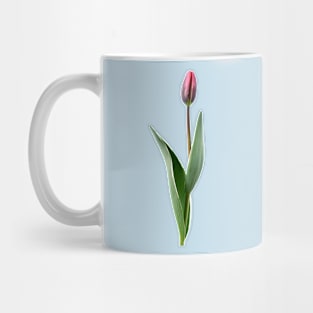 Tulipa  &#39;Pretty Princess&#39; Triumph Group  Tulip Mug